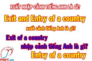 xuất nhập cảnh tiếng anh là gì