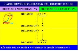 các chuyển từ because sang cấu trúc because of