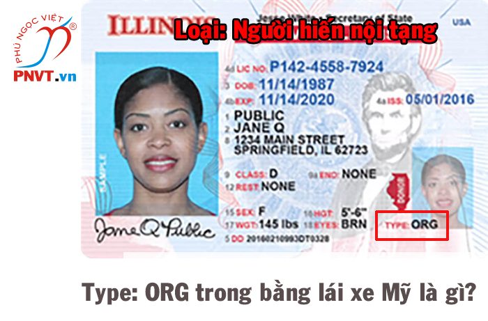 Type: ORG trong bằng lái xe nước Mỹ là gì