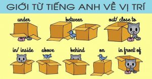 bài tập trắc nghiệm giới từ tiếng anh online có đáp án