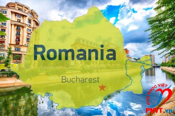 dịch tiếng Romania báo cáo tài chính